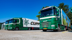 20260426-Cuppen-00032